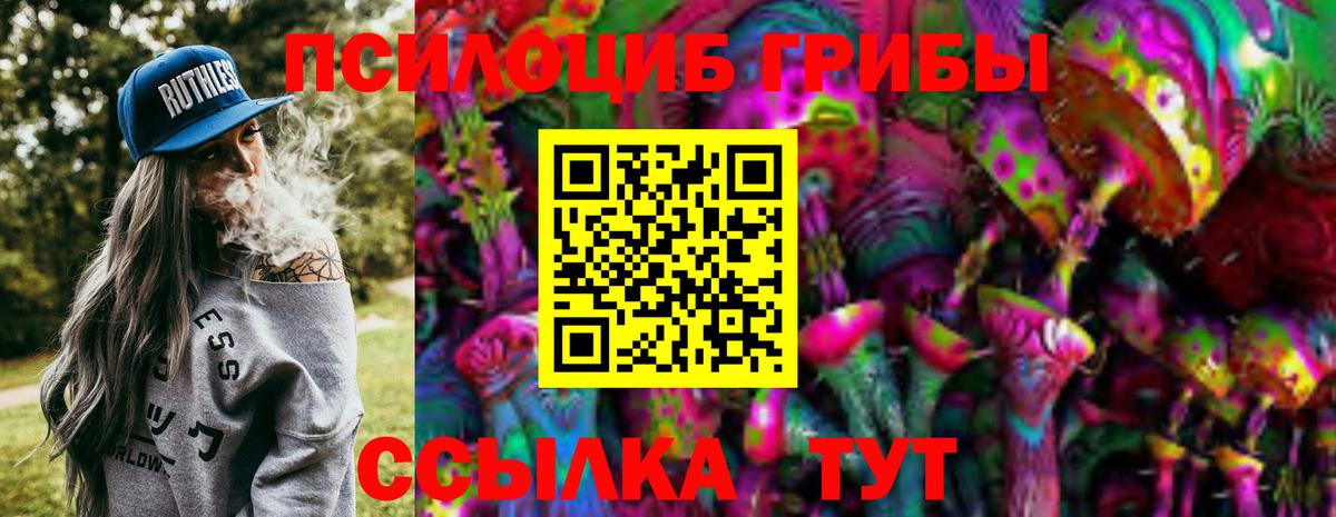Псилоцибиновые грибы мицелий  цены   Сатка  Вход с VPN 